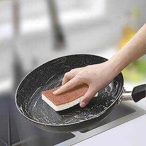 Non-Scratch Sponge