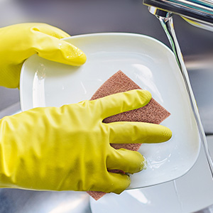 Sponges for Dishes